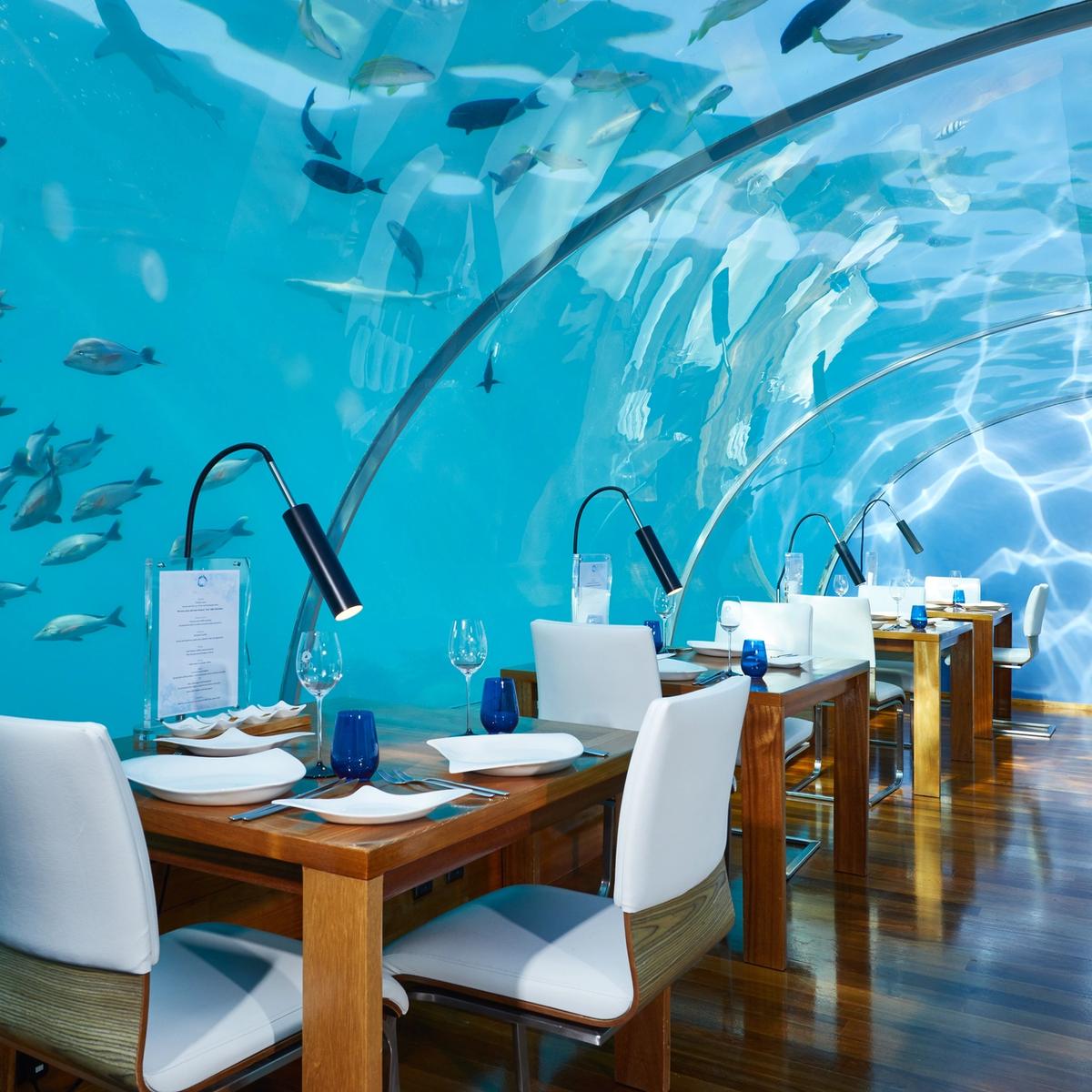 Maldives Underwater Restaurants: Dining Beneath the Indian Ocean