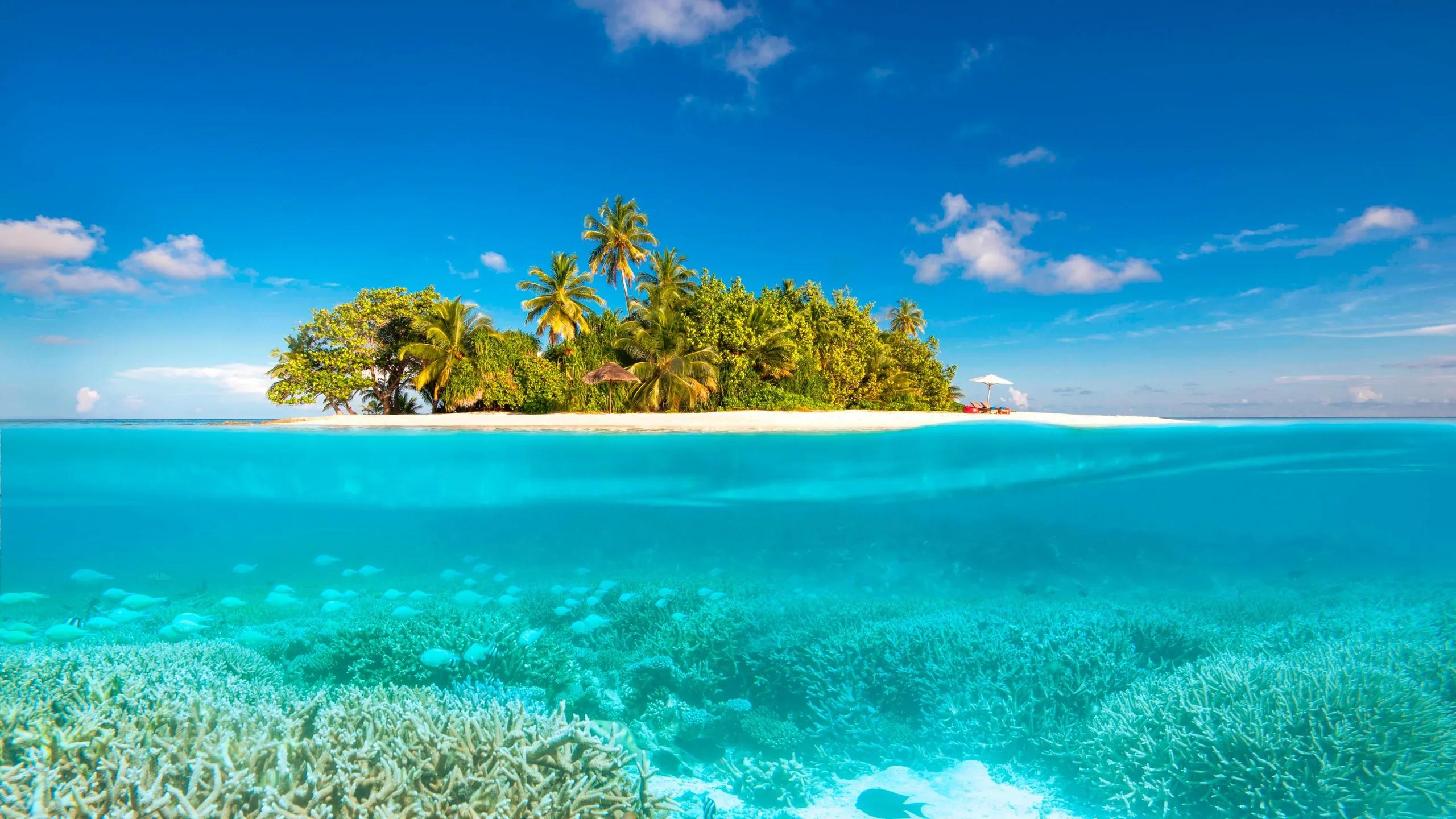 A split above-and-below view of a small sandbank island near W Maldives, with coral and reef fish visible in the shallows