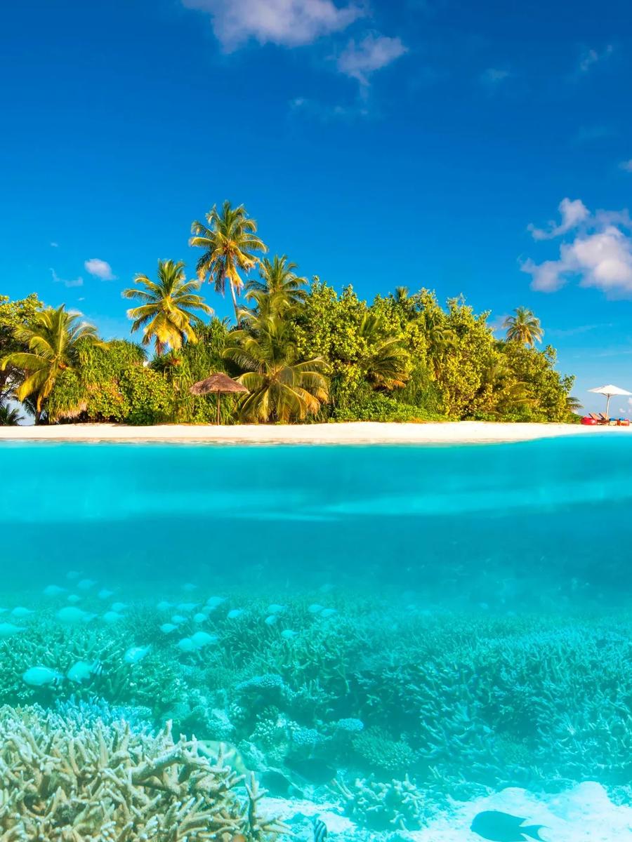 A split above-and-below view of a small sandbank island near W Maldives, with coral and reef fish visible in the shallows