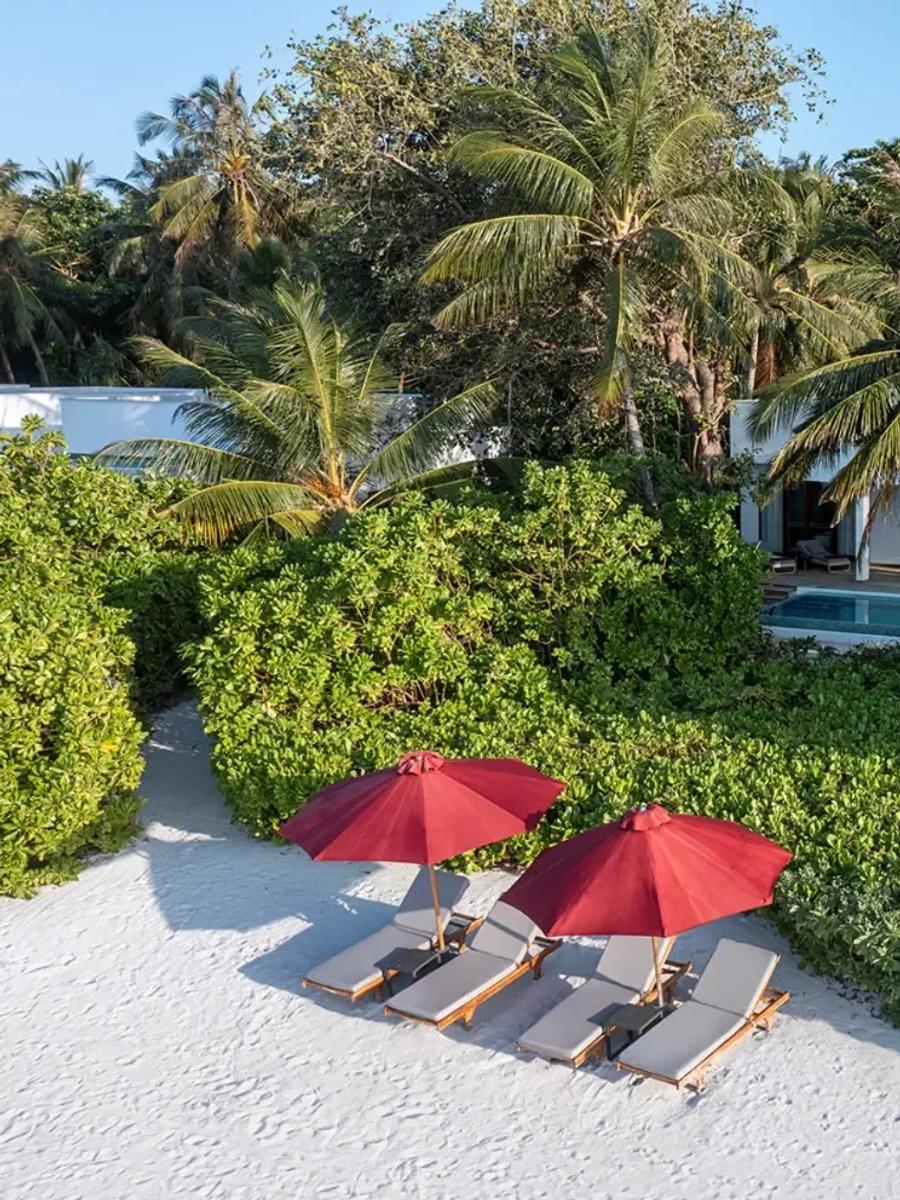 The private pool and dining pergola of the Two-Bedroom Dhigali Suite, palm trees framing the view