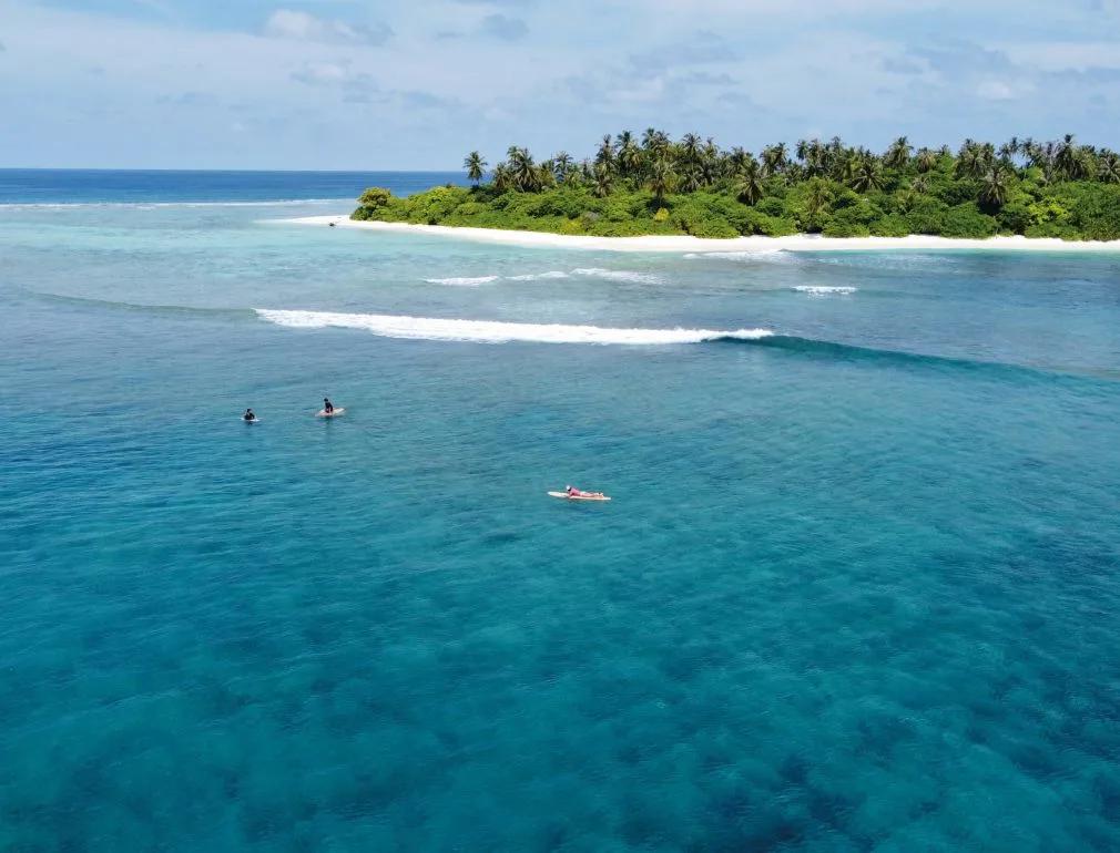 Aerial view of three surfers sitting on boards beyond the reef break, with a palm-covered island behind them