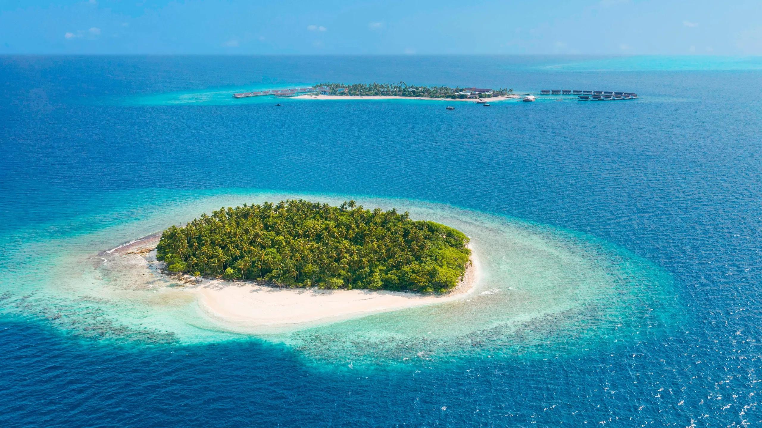 An uninhabited, palm-covered islet near the resort, ringed by reef