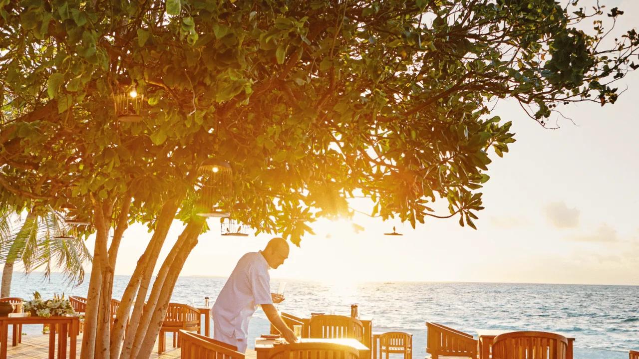 A table set beneath a tree at sunset at Allegria, with a server attending it beside the sea