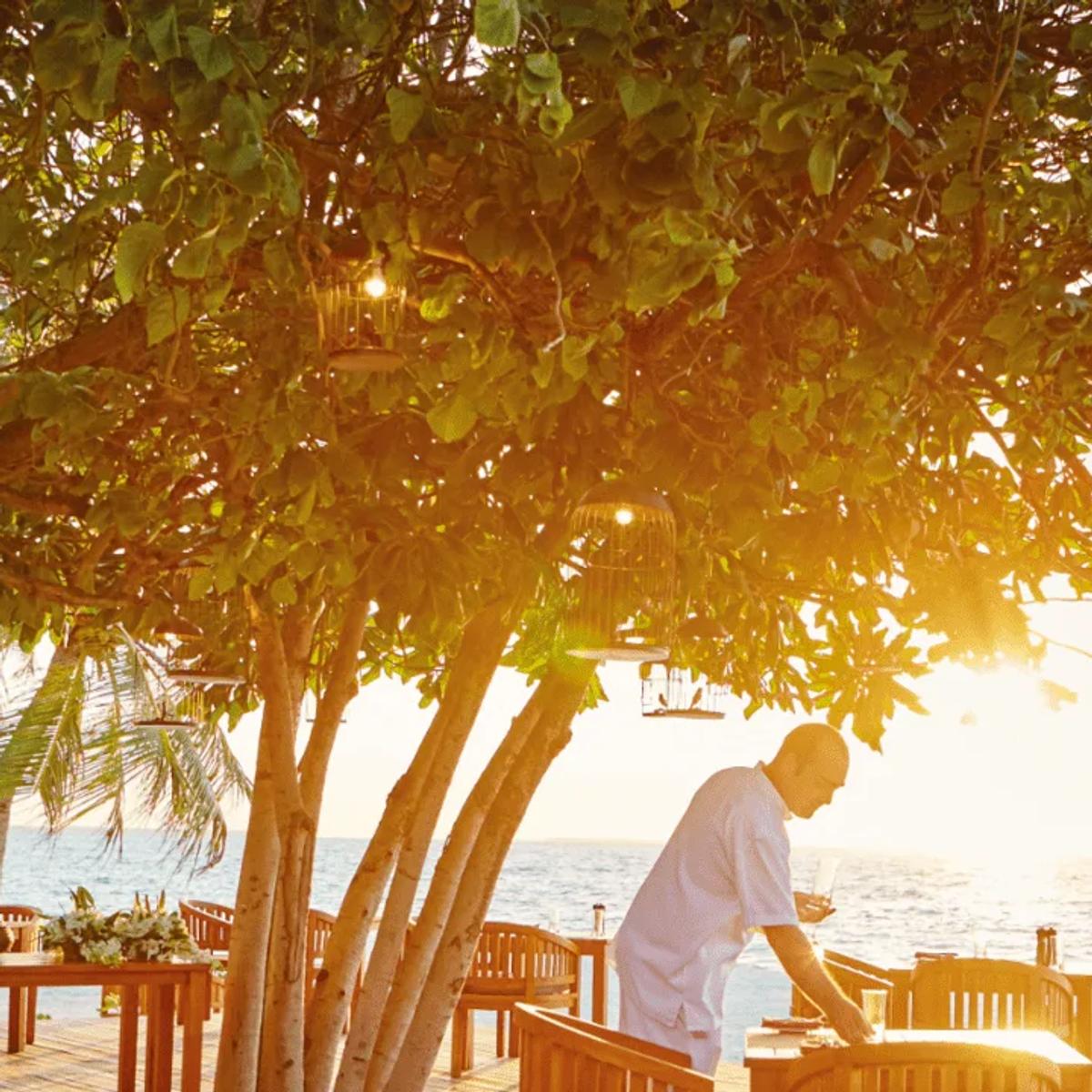 A table set beneath a tree at sunset at Allegria, with a server attending it beside the sea
