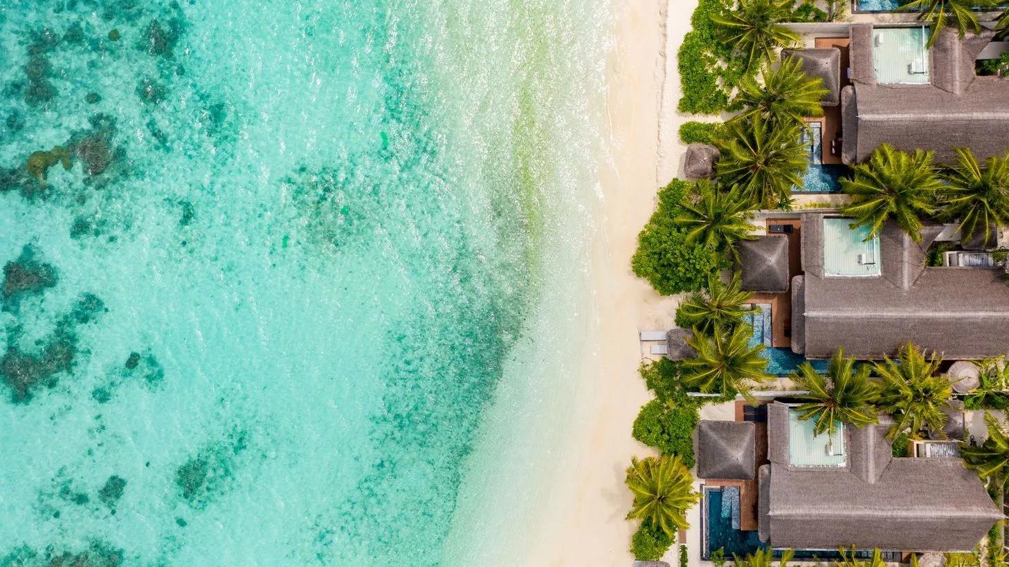 An Earth Pool Pavilion's private pool and thatched terrace seen through surrounding palm trees, steps from the beach