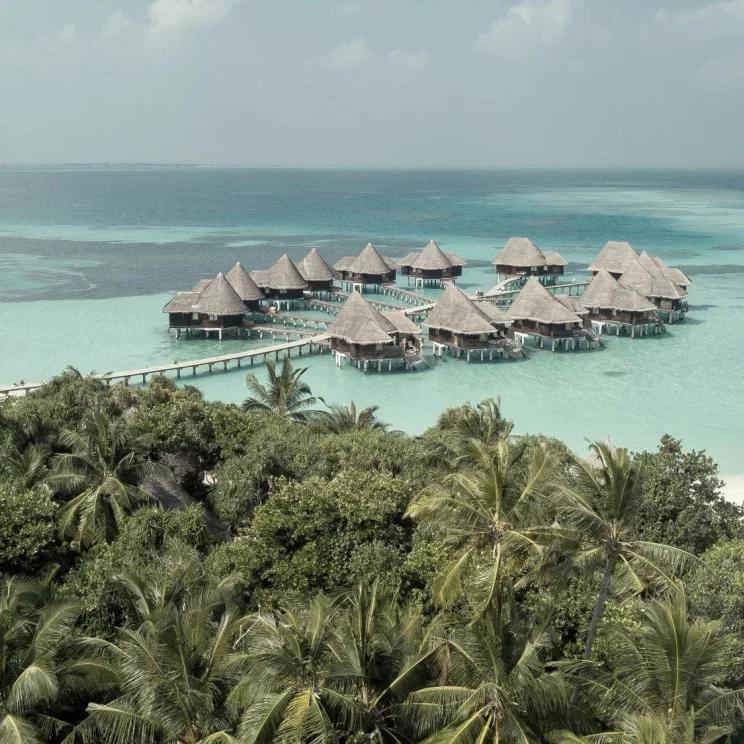 Overwater villas seen through palm trees from an elevated point on the island