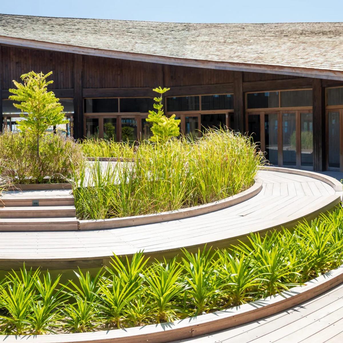 Noo Faru's circular garden courtyard, ornamental grasses ringed by timber decking beneath the restaurant's curved shingled roof