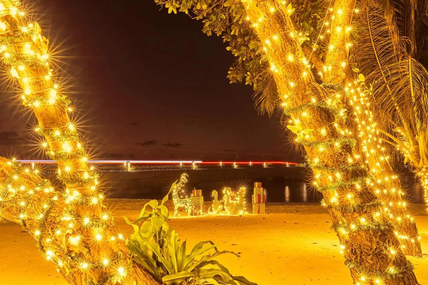 The 650-metre bridge between Mabin and Dheru islands lit up at night, seen through palm trees strung with lights