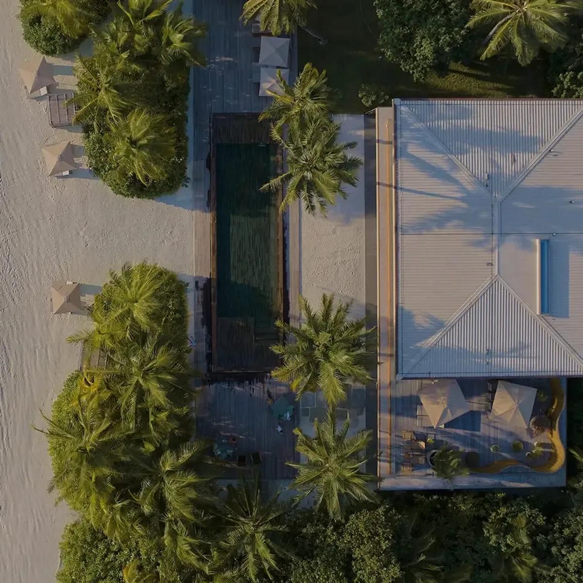 Patina Maldives' beach and pool deck seen directly from above; a dedicated photograph of Roots, the resort's plant-based restaurant, to follow