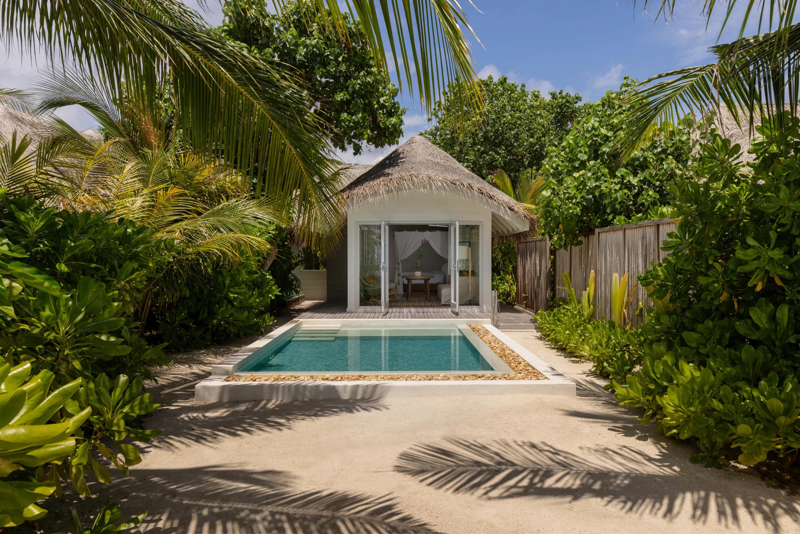 A Deluxe Beach Villa with Pool framed by palms, its thatched roof and private plunge pool visible through the garden.