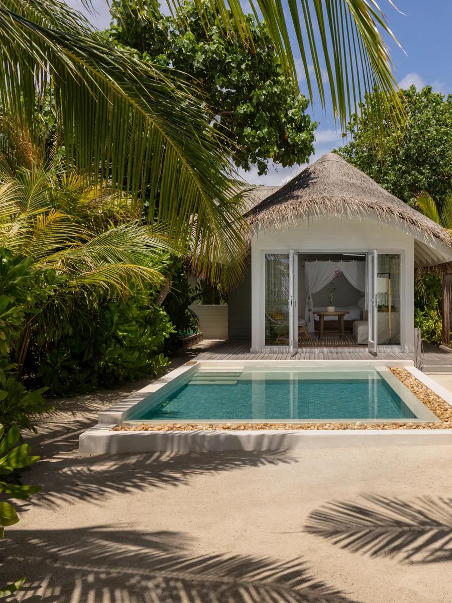 A Deluxe Beach Villa with Pool framed by palms, its thatched roof and private plunge pool visible through the garden.