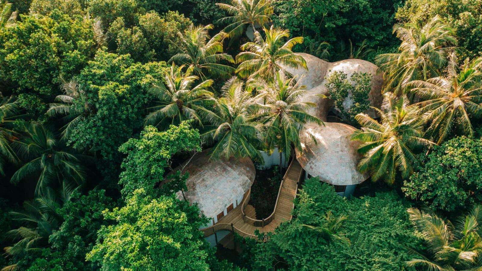 An aerial view of Soneva Soul's two connected pavilions, their curved thatched-and-render roofs rising through dense palm canopy, linked by a timber boardwalk