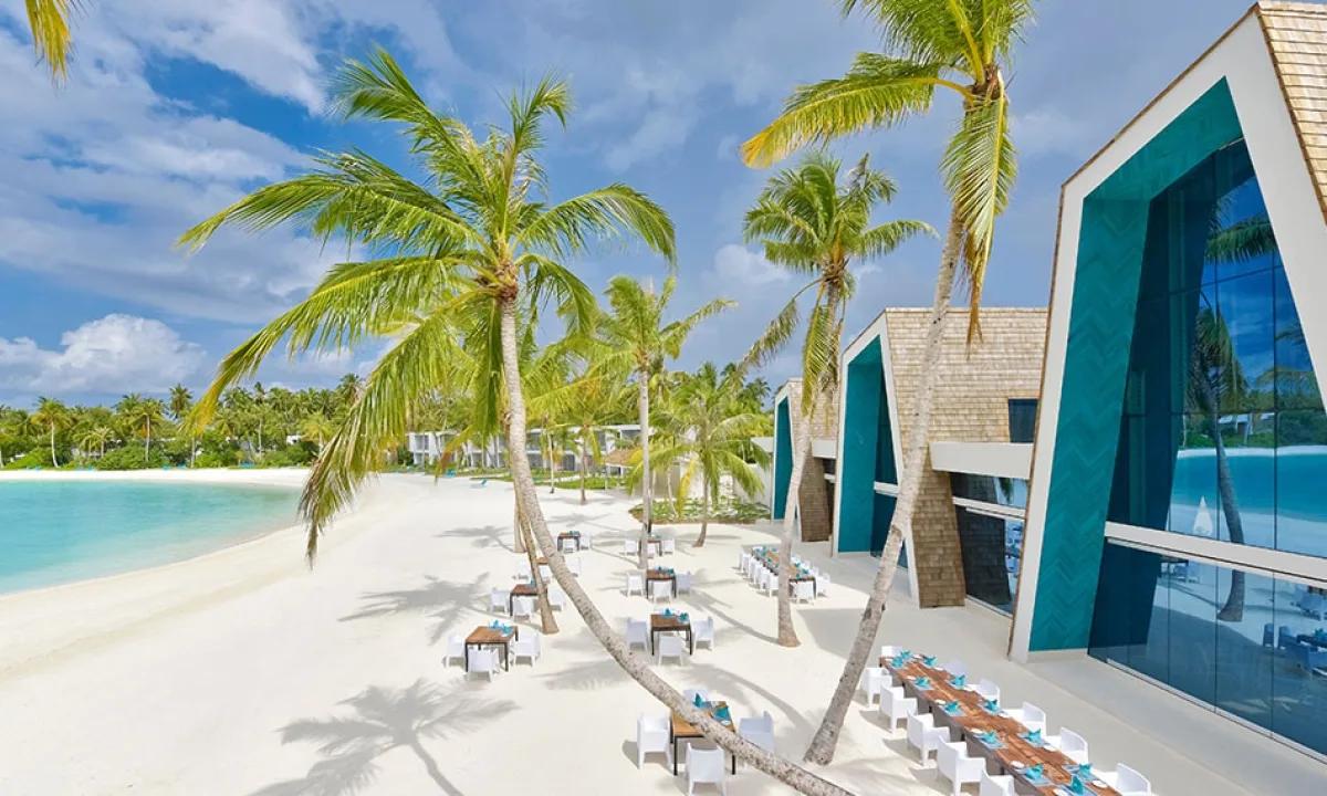 Smoked's angular, teal-accented building on the beach among the palms