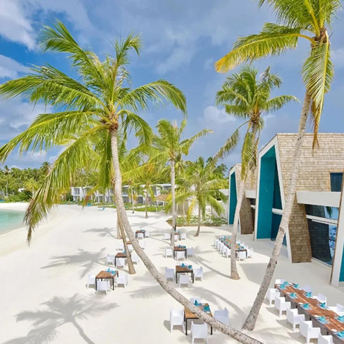 Smoked's angular, teal-accented building on the beach among the palms