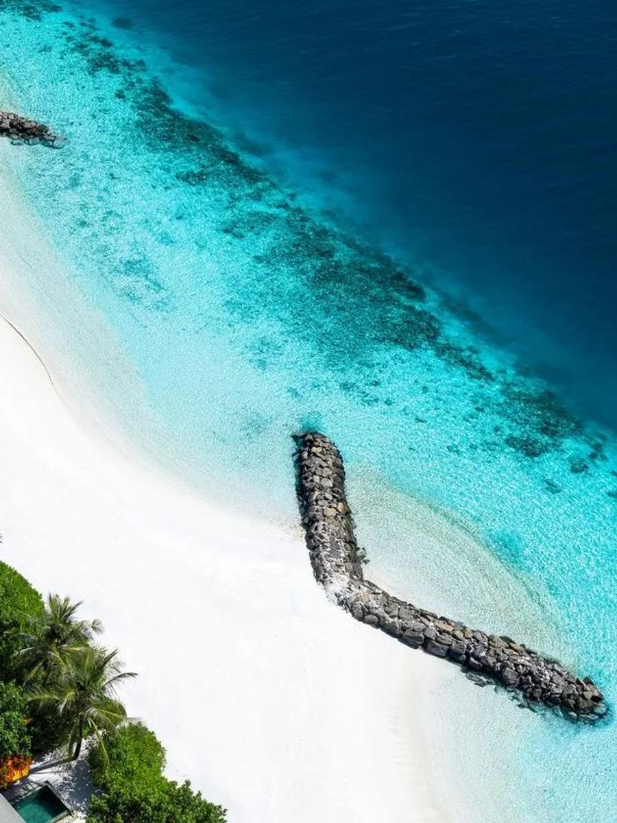 Aerial view of SunNest Beach Pool Villas set among palm trees along OBLU SELECT Lobigili's shoreline, each with a private pool