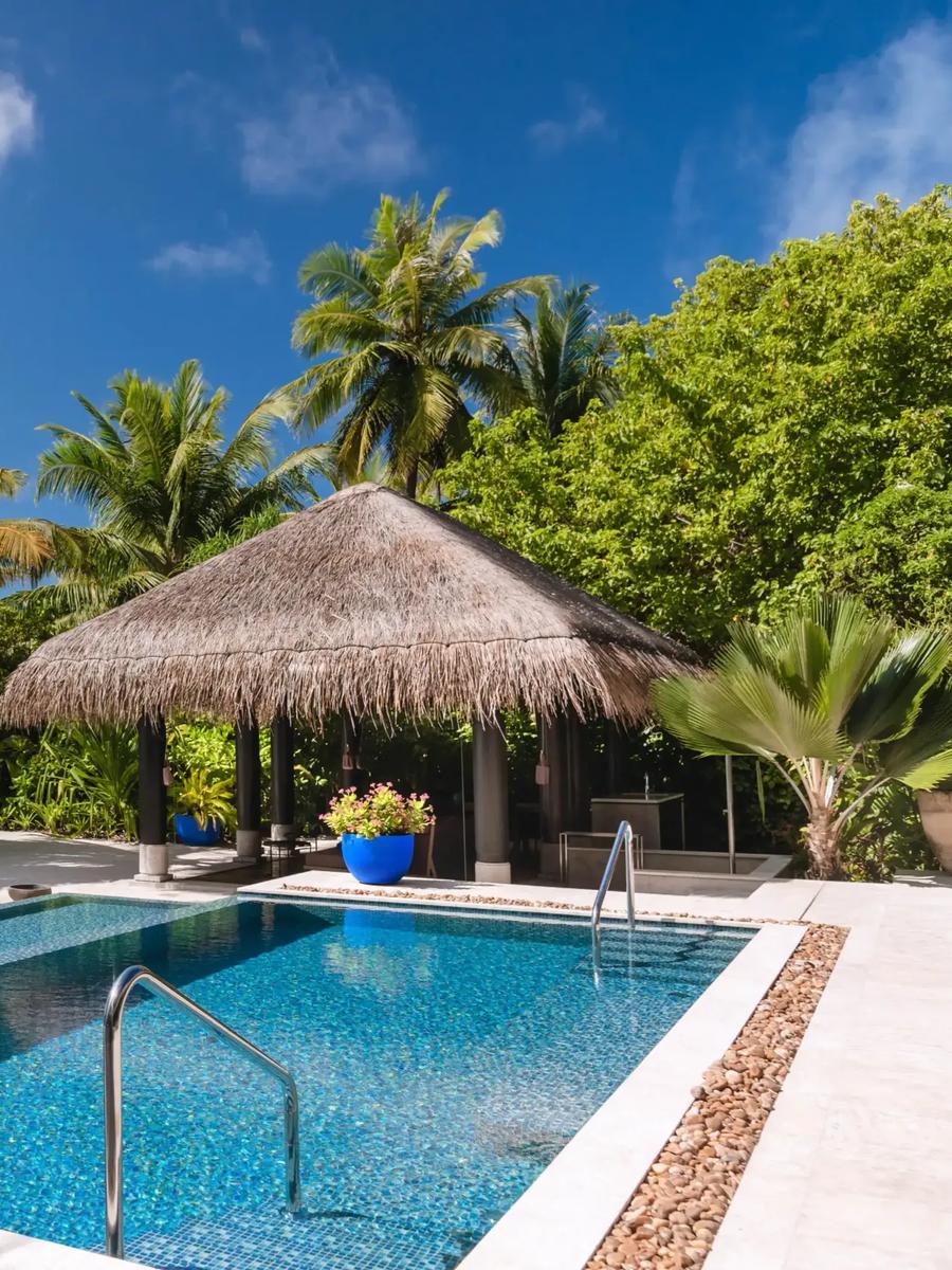 A Beach Pool House's pool and thatched pavilion set directly on the beach, palm trees and open sea beyond