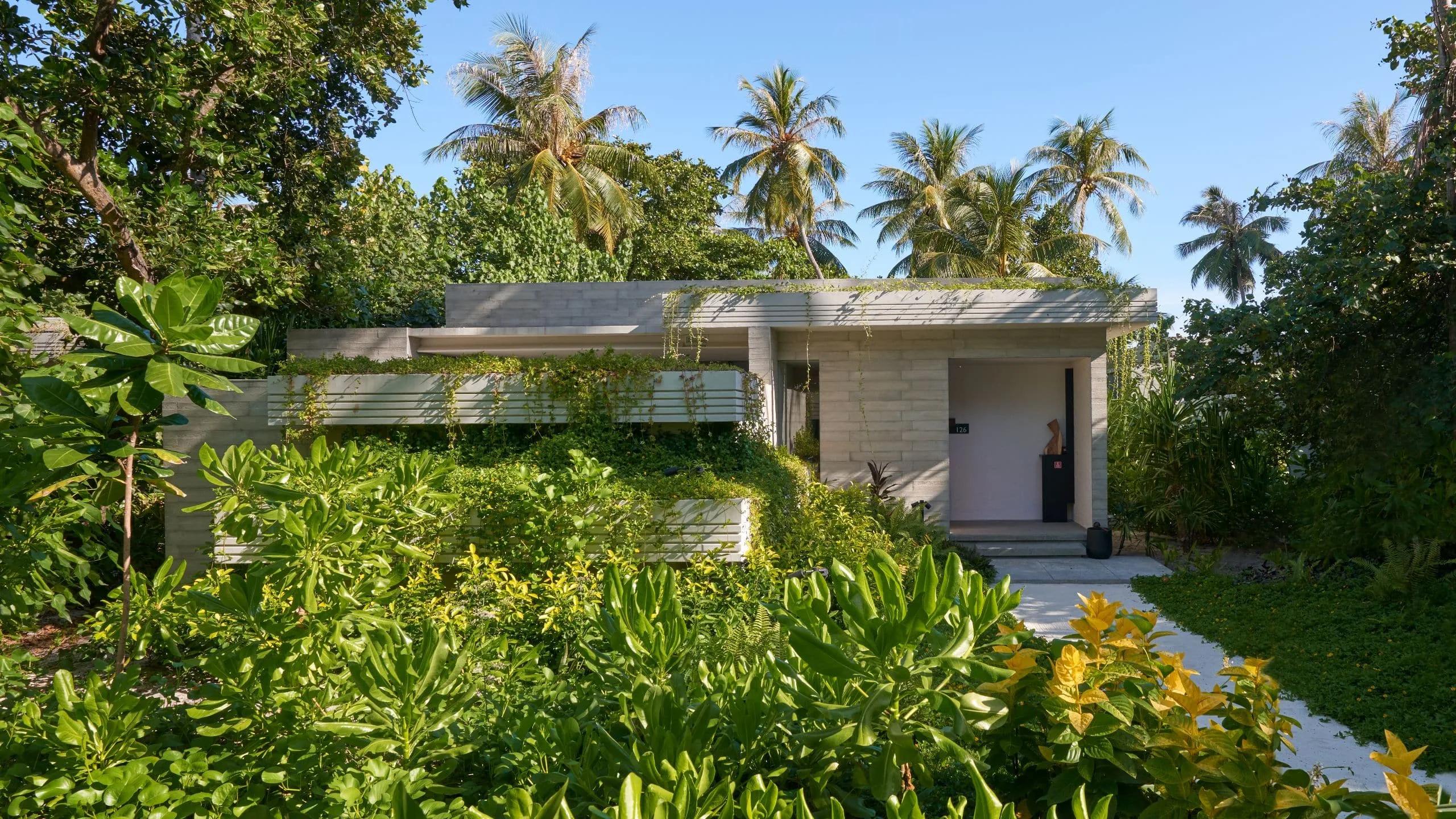 The exterior of a Beach Pool Villa, shingled roof set among palms