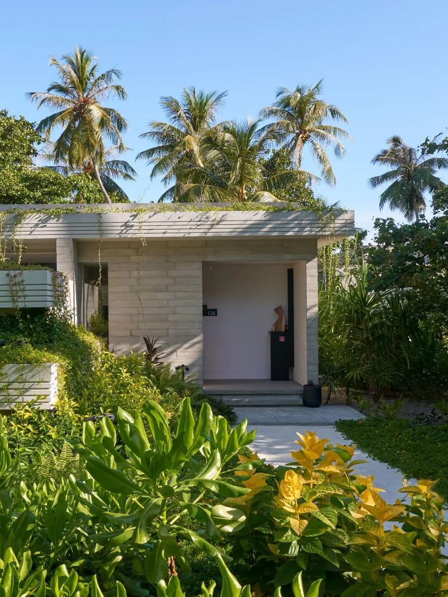 The exterior of a Beach Pool Villa, shingled roof set among palms