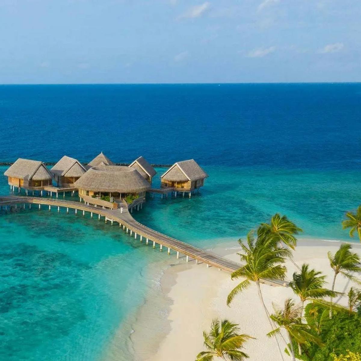 Zeytoun's sail-roofed overwater restaurant, linked to the beach by a long timber walkway.