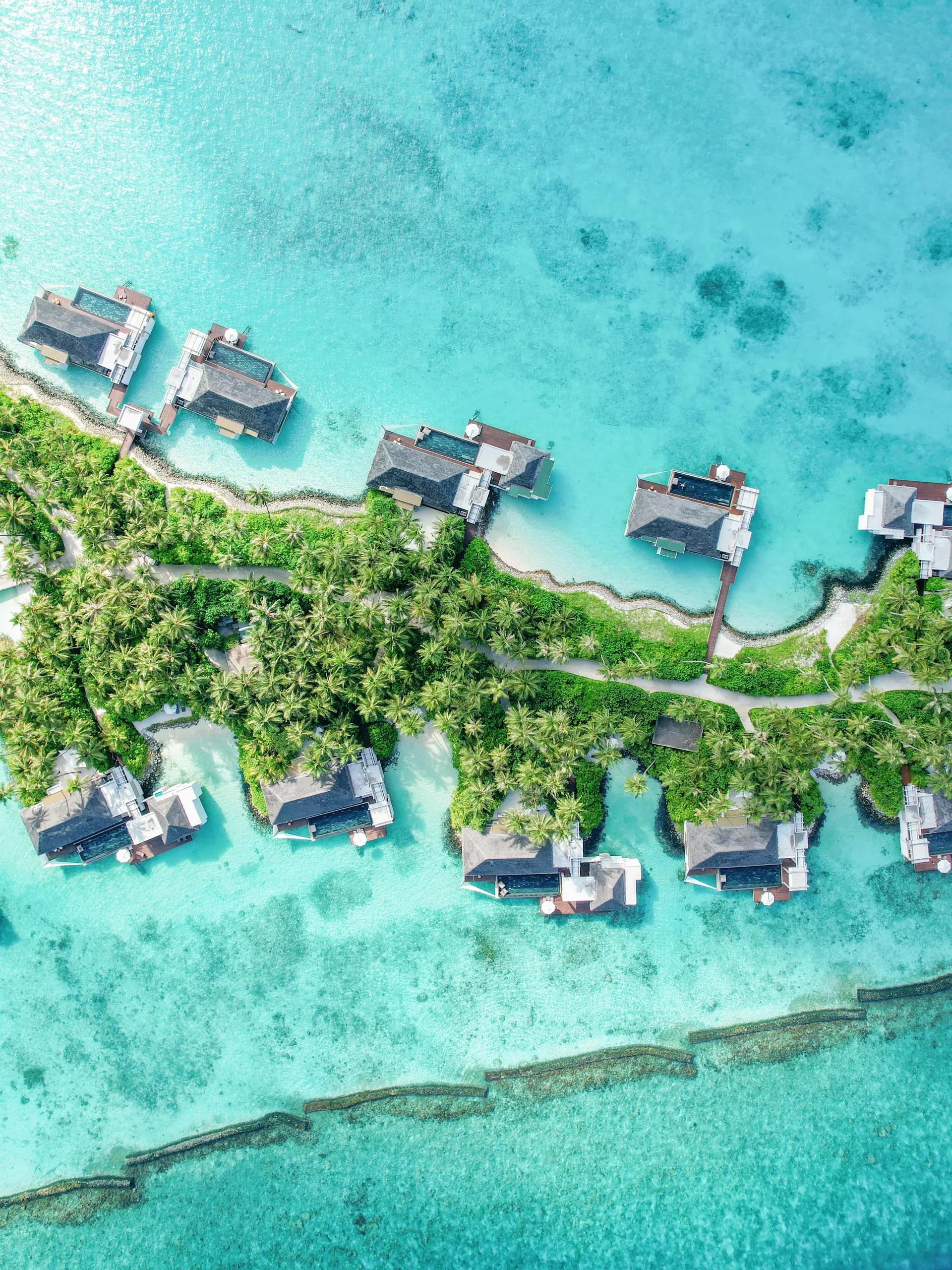 Aerial view of a row of overwater Garden Water Villas with private pools, backed by jungle and open beach