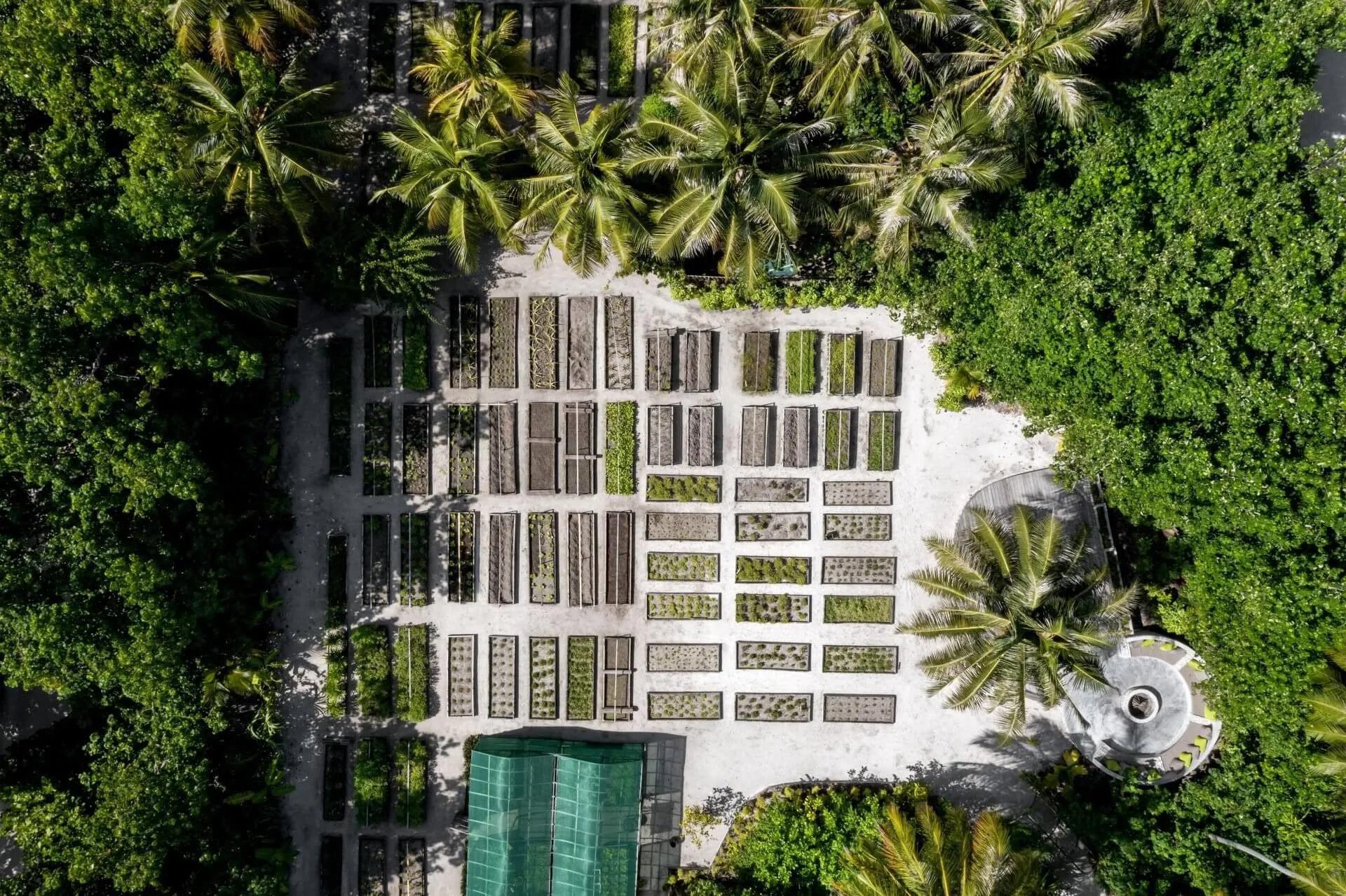 Aerial view of the Organic Garden, which supplies herbs and salads to Gili Lankanfushi's kitchens
