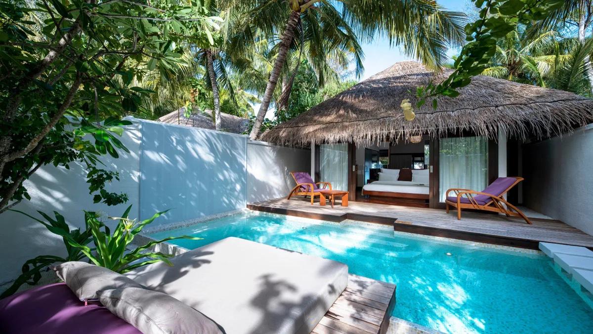 Private plunge pool of an Island Villa with Pool, purple loungers either side and a thatched-roof bedroom opening onto the courtyard