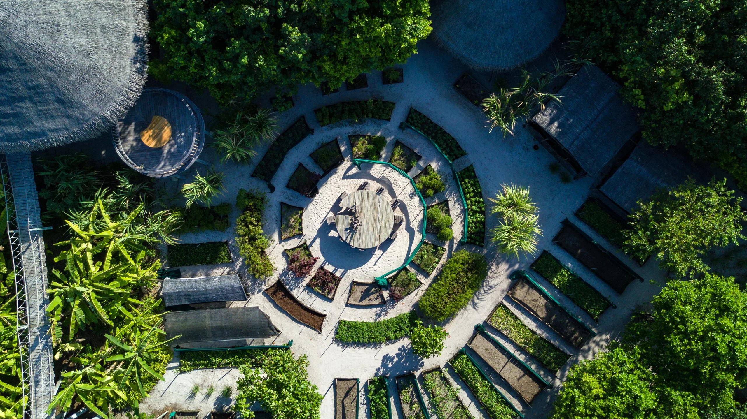 An elevated view over Leaf's circular organic garden, with pathways ringing raised vegetable beds