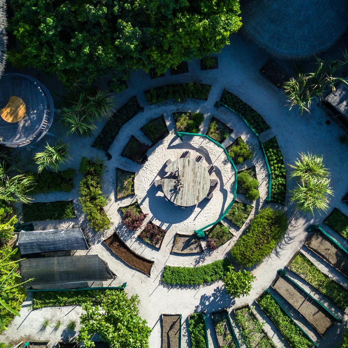 An elevated view over Leaf's circular organic garden, with pathways ringing raised vegetable beds