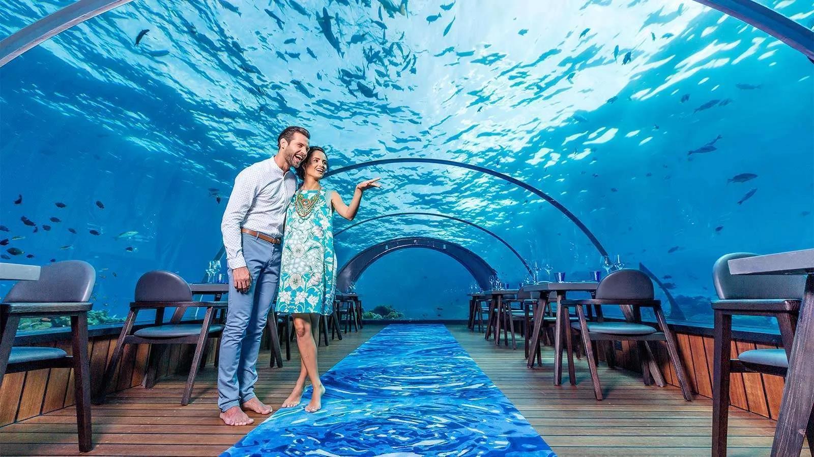 A couple standing inside the 5.8 Undersea Restaurant's glass tunnel, 5.8 metres below the lagoon surface, pointing up at reef fish overhead with dining tables around them