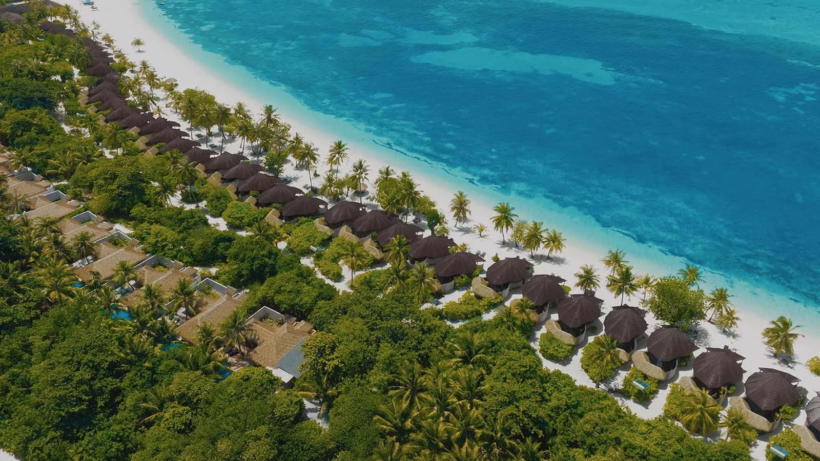 Aerial view of a row of beach villas along Kuredu's white-sand shoreline, palm trees between each roof
