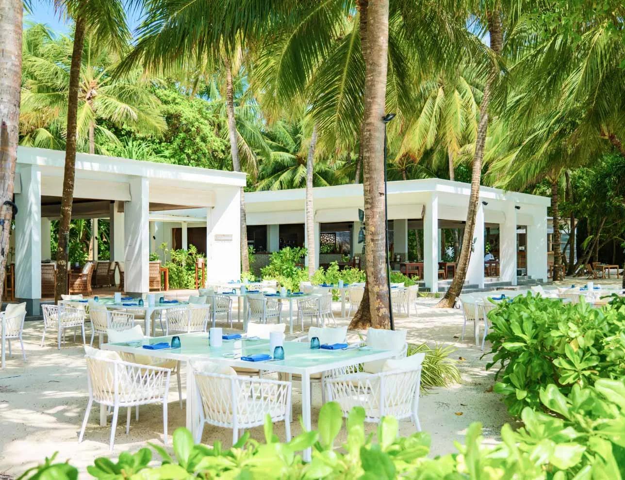 Barolo's open-air dining tables set beneath palm trees at Amilla, beside its white-walled restaurant building