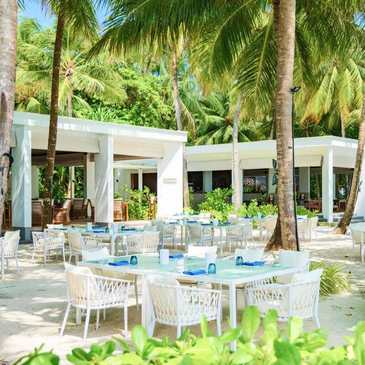 Barolo's open-air dining tables set beneath palm trees at Amilla, beside its white-walled restaurant building