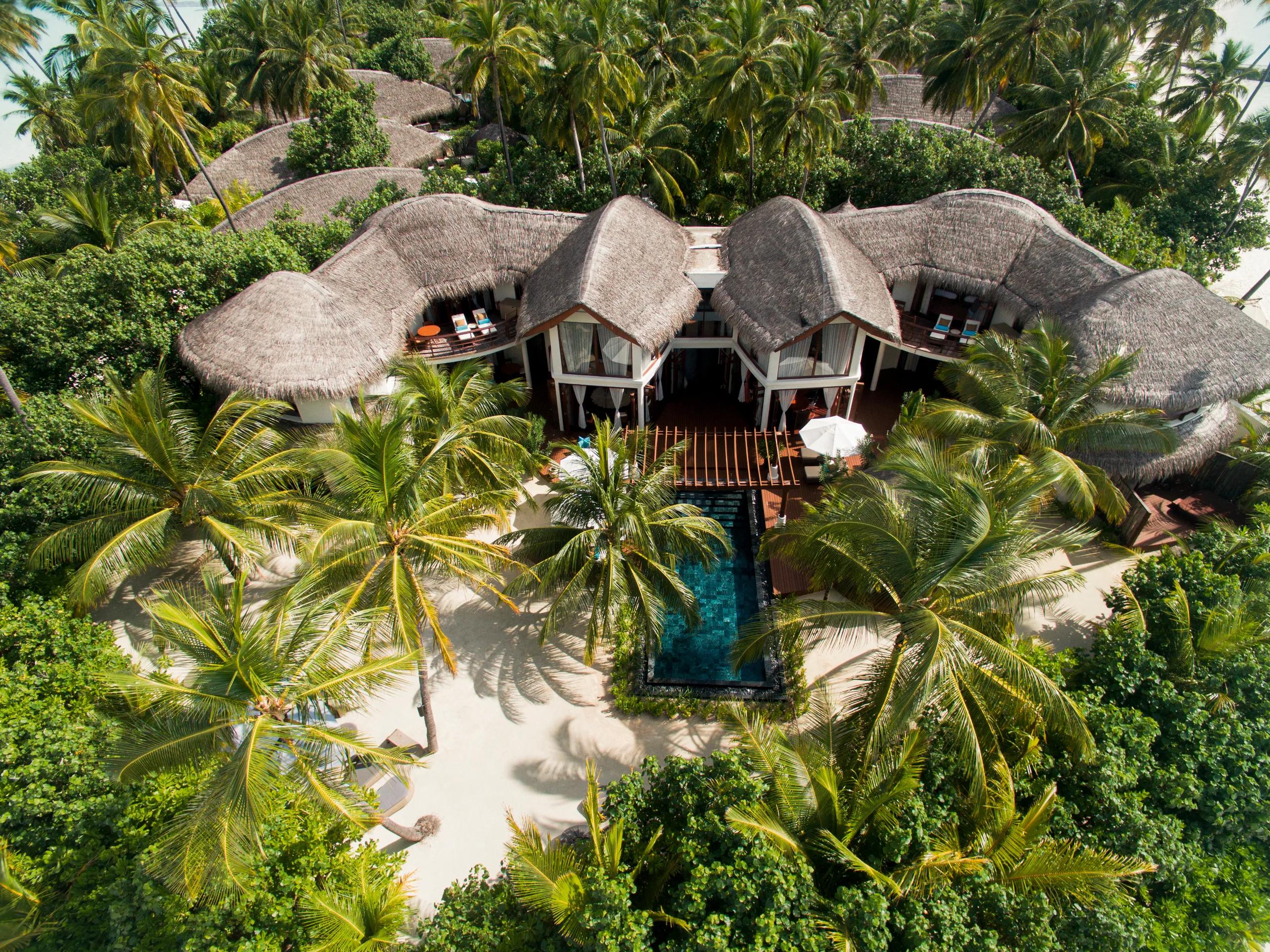 Aerial view of the Presidential Beach Villa's twin thatched roofs and private plunge pool, set within a dense grove of palm trees