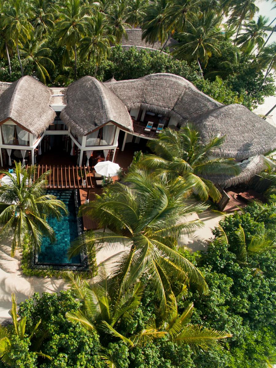 Aerial view of the Presidential Beach Villa's twin thatched roofs and private plunge pool, set within a dense grove of palm trees