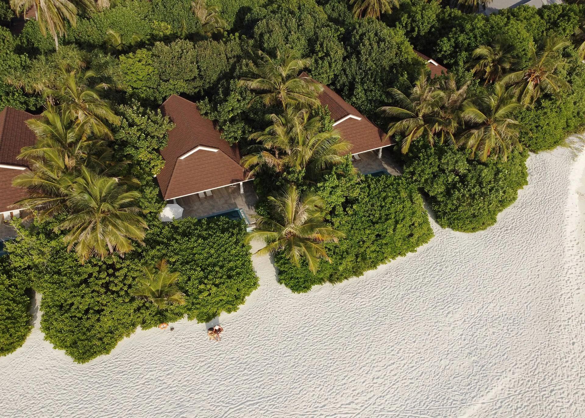 Aerial view of The Standard's beach villa rooftops set among palm trees a few steps from the sand