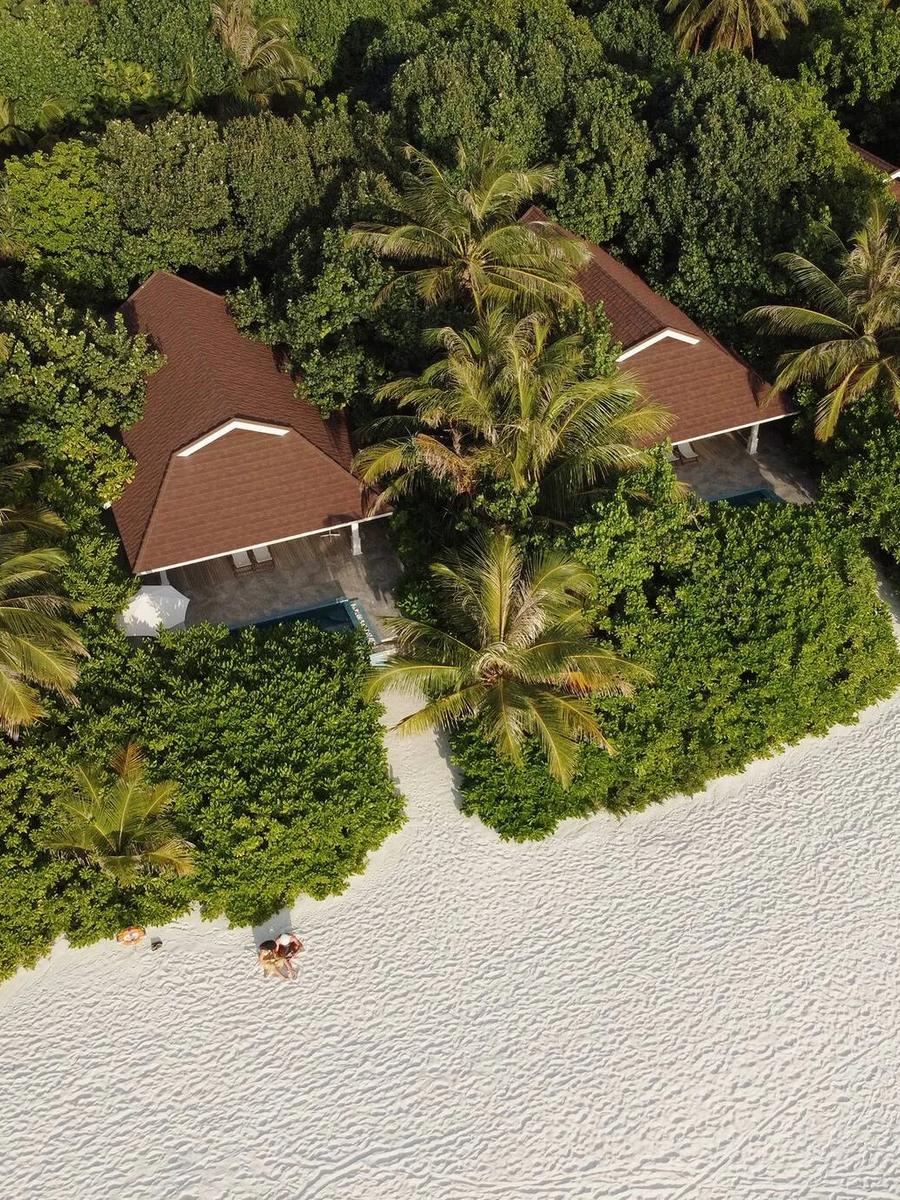 Aerial view of The Standard's beach villa rooftops set among palm trees a few steps from the sand