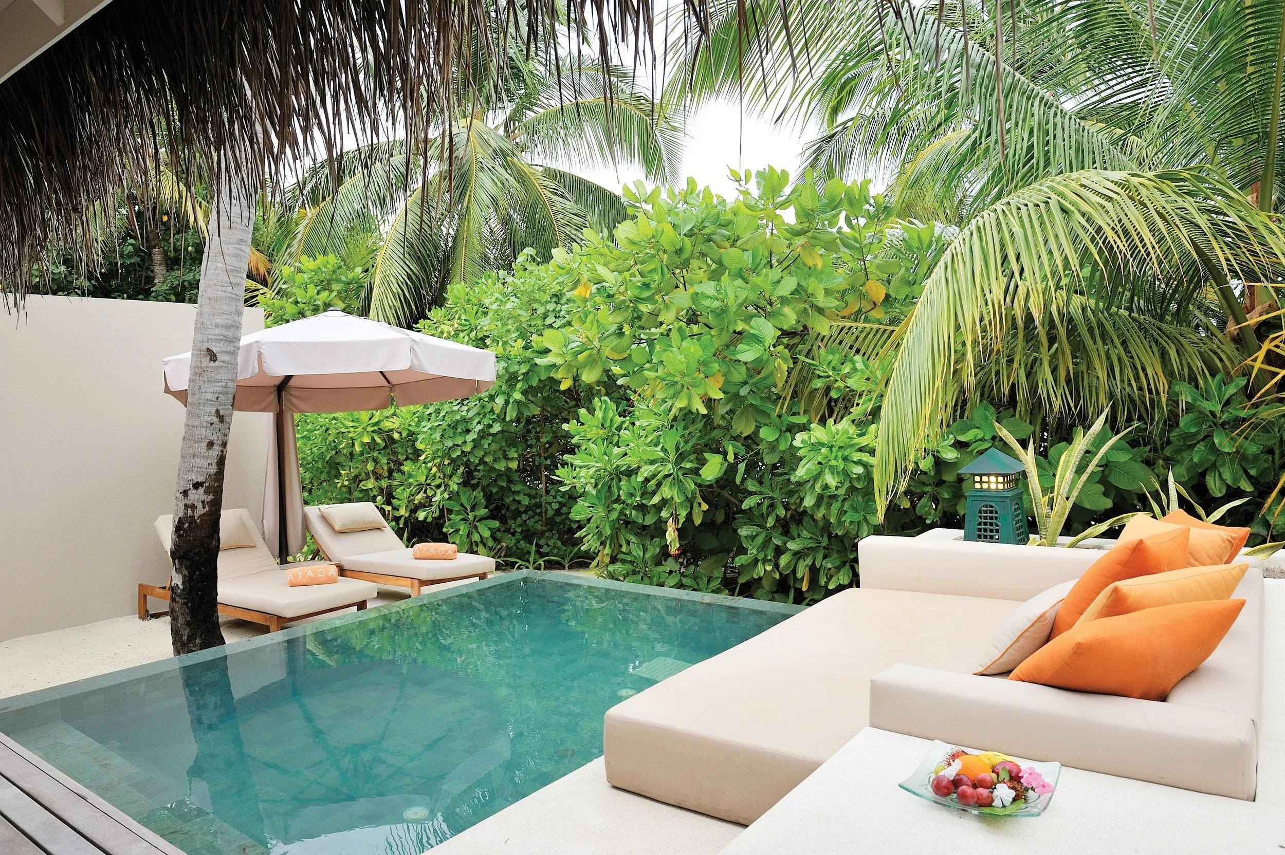 A Beach Villa's garden and plunge pool, screened by palms