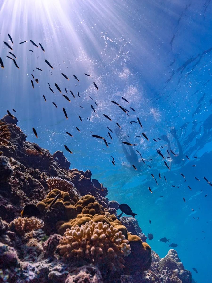 Sunlight breaking through the surface above Baglioni Maldives' house reef, with coral formations and two snorkellers overhead