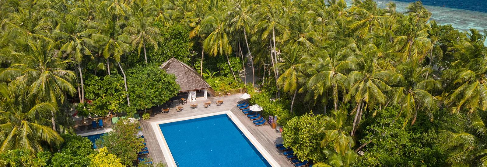 Aerial view of the Boashi Pool wrapped by dense palm canopy