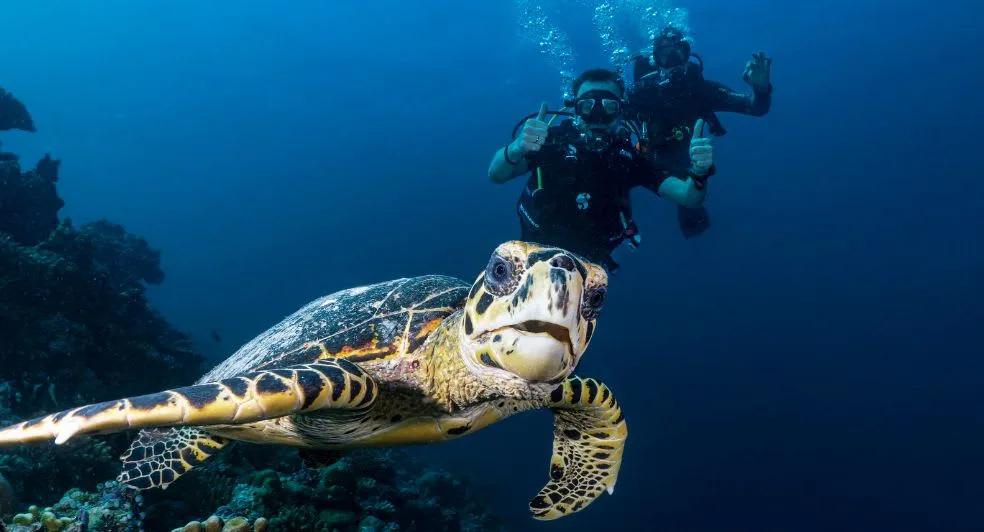 Divers preparing for a PADI dive trip from Niyama