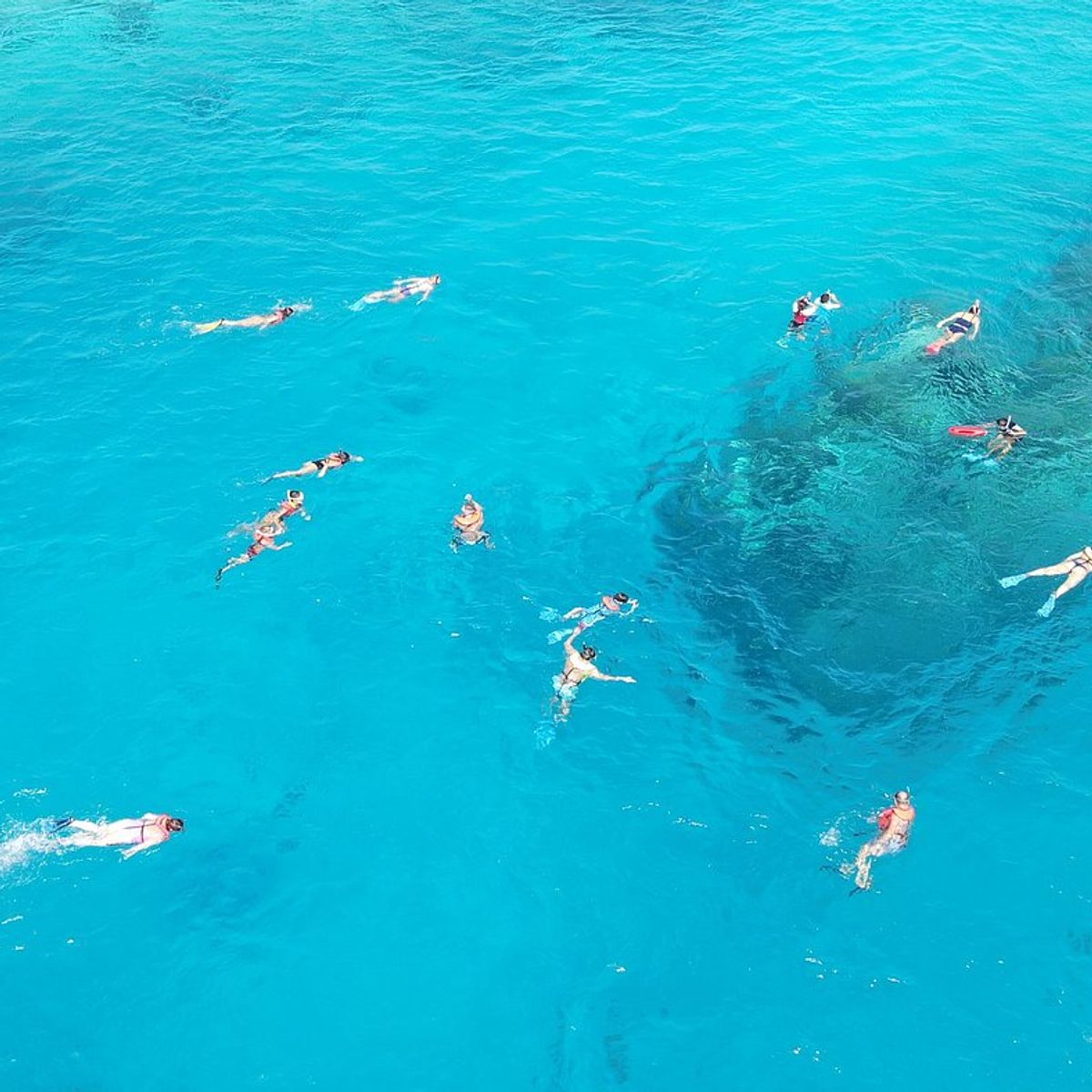Maldives Snorkeling Guide: House Reefs, Lagoons, and Marine Life