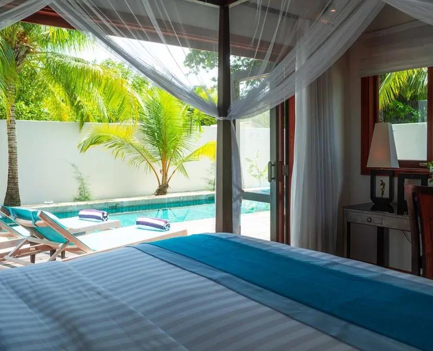 Private Pool Villa's walled garden pool deck with loungers and palm trees, no ocean in view
