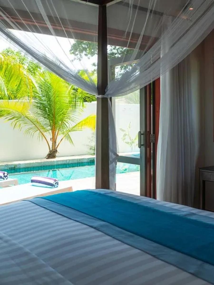 Private Pool Villa's walled garden pool deck with loungers and palm trees, no ocean in view