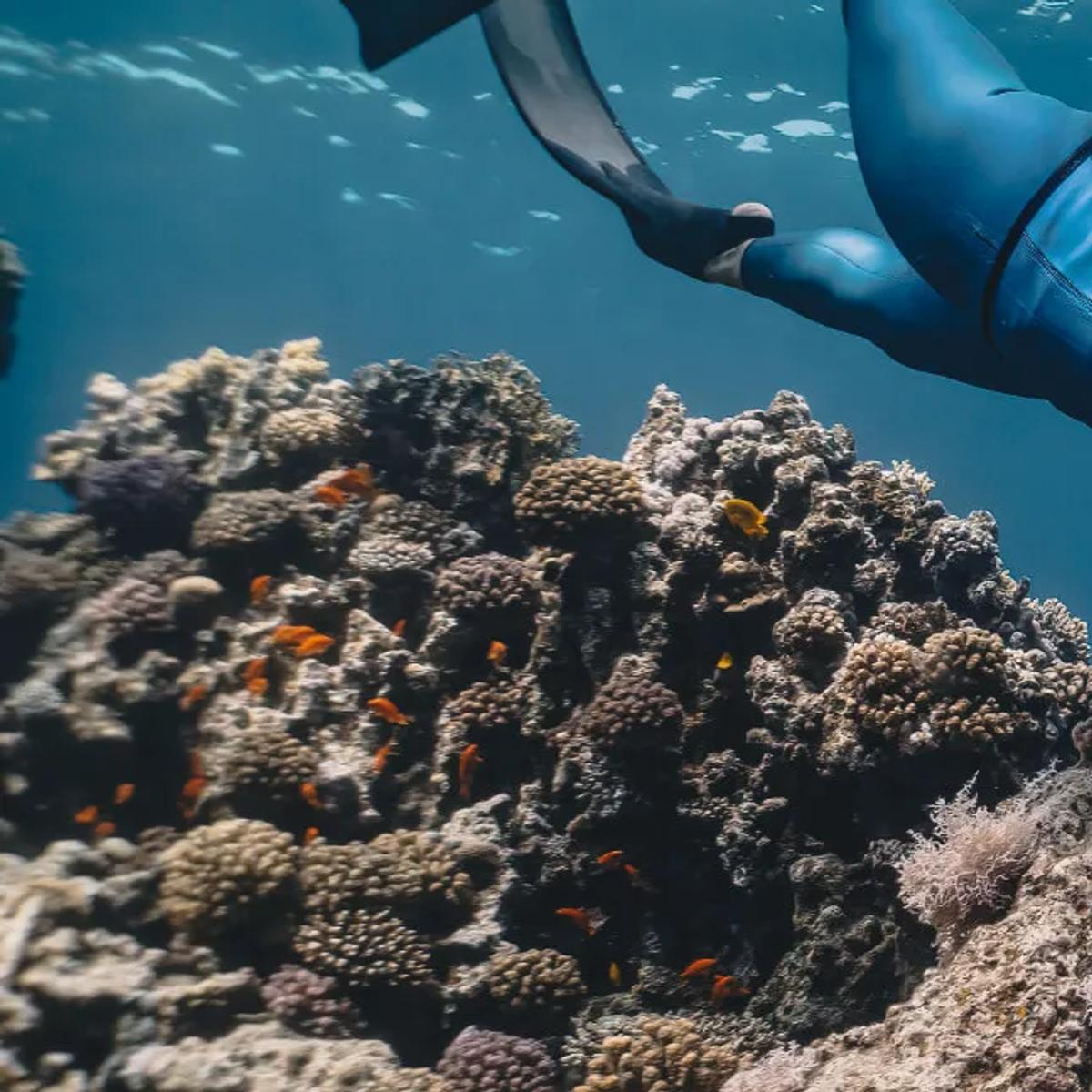 A scuba diver descending over the reef near JA Manafaru's PADI-certified dive centre