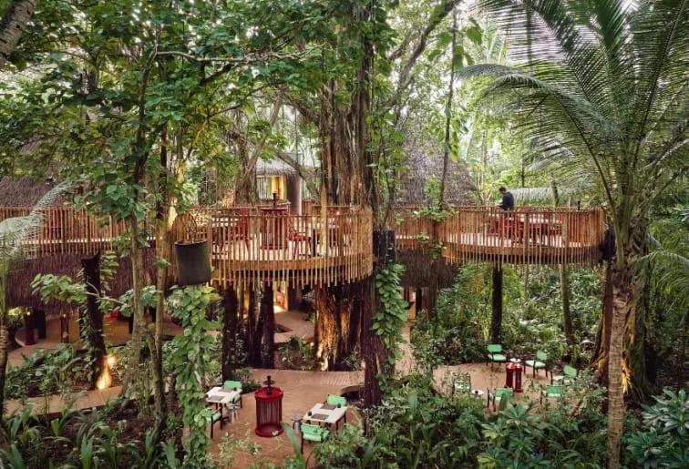 Nest, Niyama's Asian restaurant set on a treetop platform in the jungle canopy