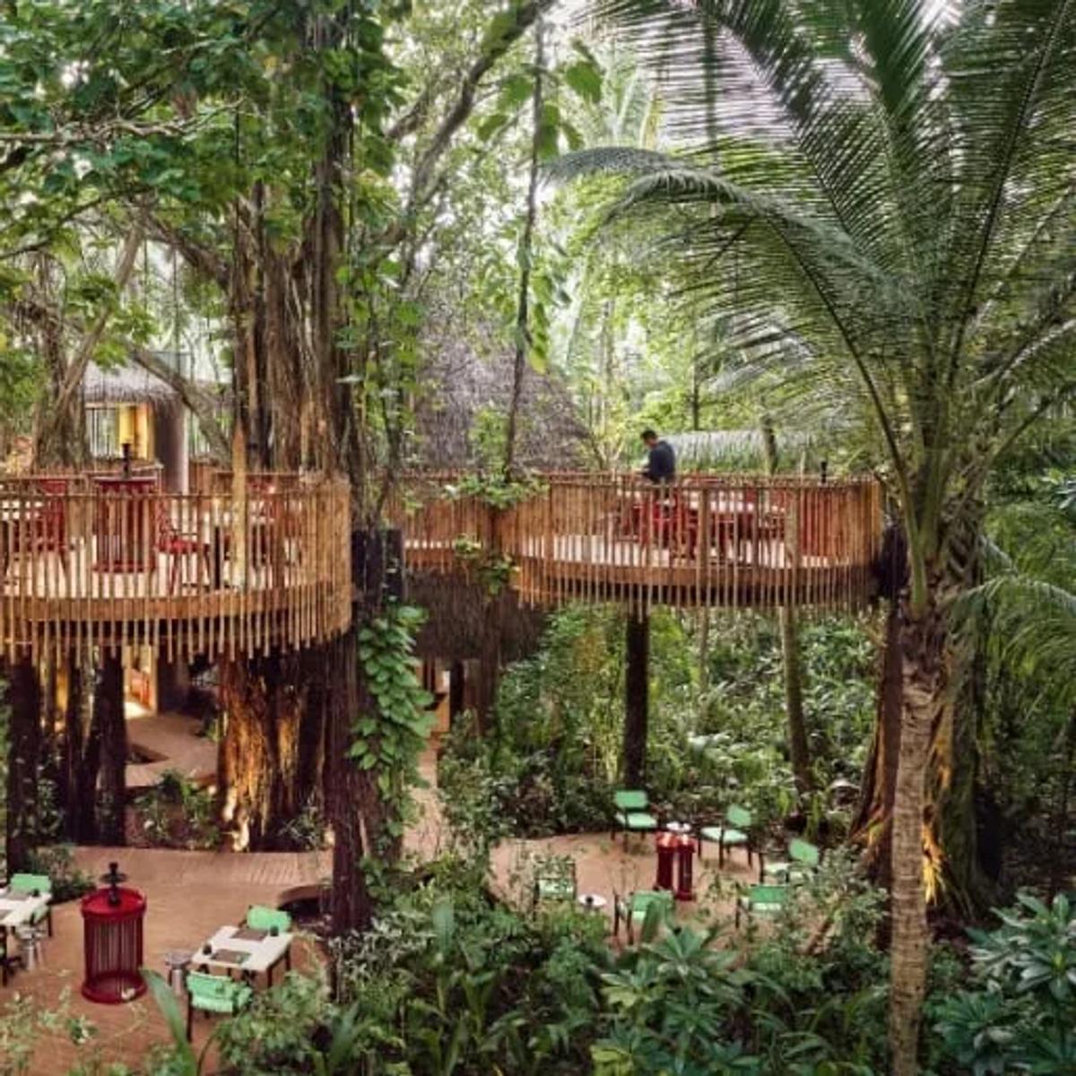 Nest, Niyama's Asian restaurant set on a treetop platform in the jungle canopy