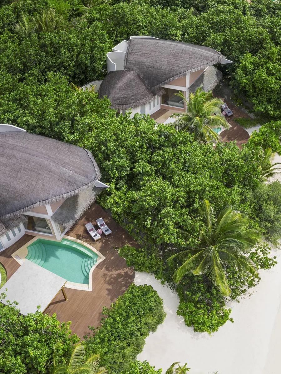 Aerial view of two Beach Pool Villas with private pools, set among trees just off the beach