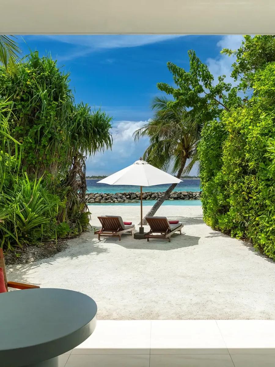 A hedge-lined path leading from a Beach Bungalow's terrace to sun loungers on the beach