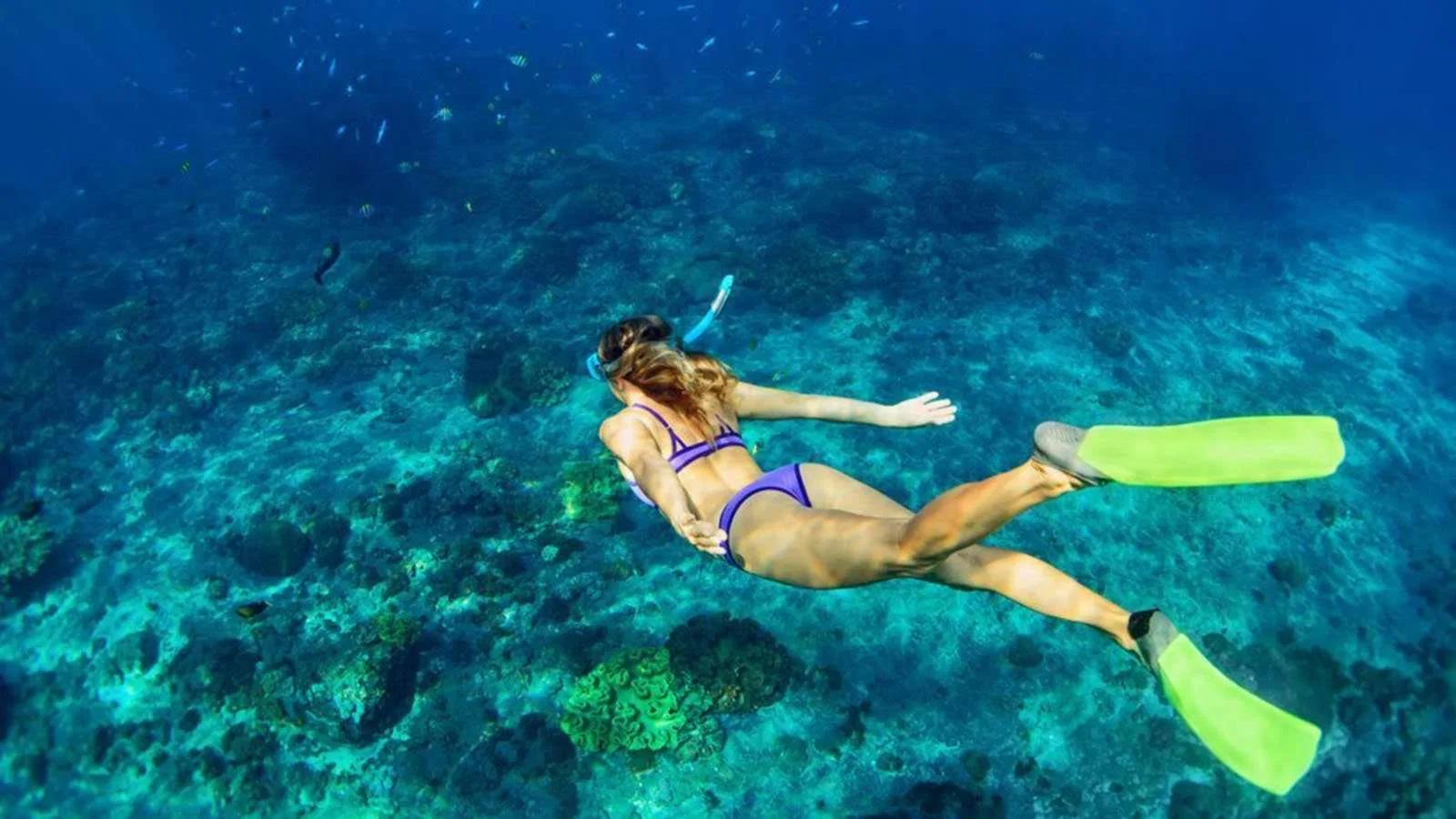 A snorkeller swimming over a coral reef at Jawakara, small reef fish scattered across the frame