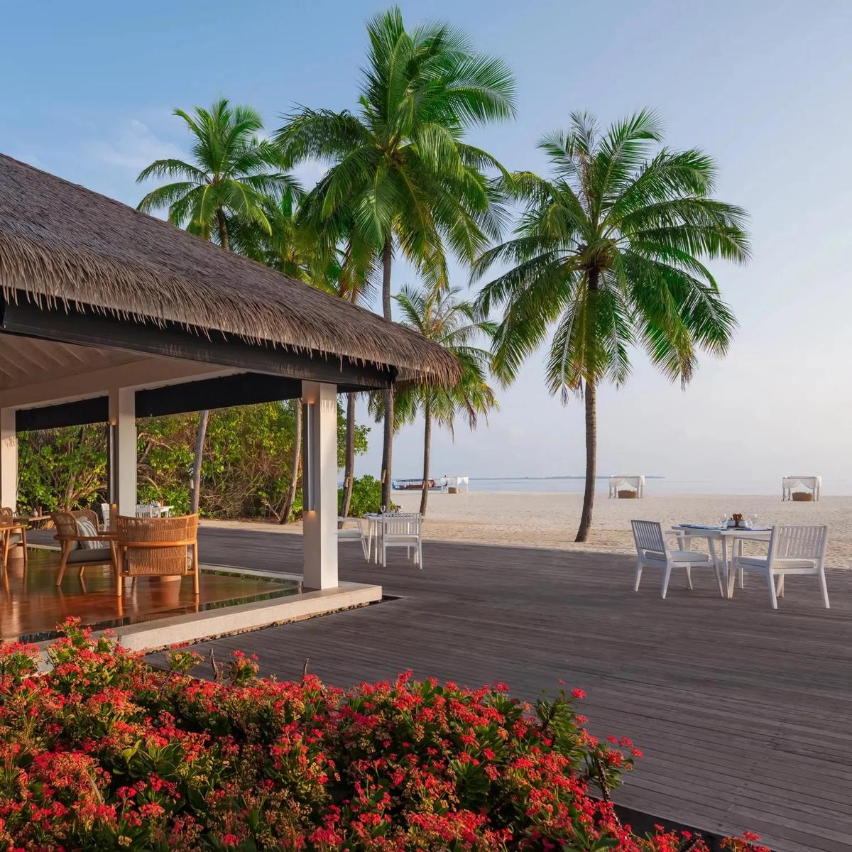 Palms Restaurant's beachfront terrace at Noku Maldives, tables set beneath palms steps from the sand
